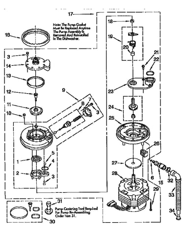 Pump and motor