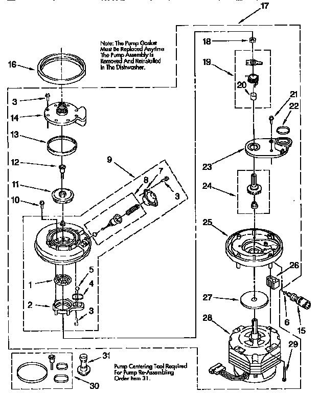 Pump and motor