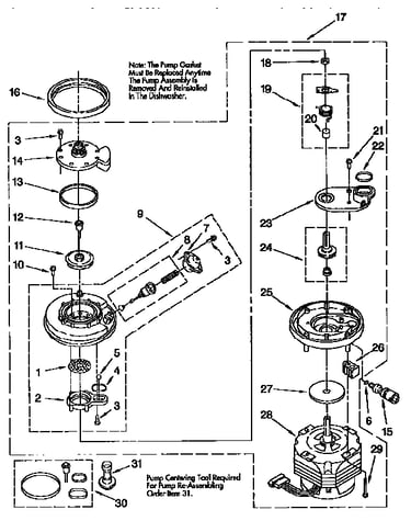 Pump and motor