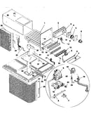 Functional replacement