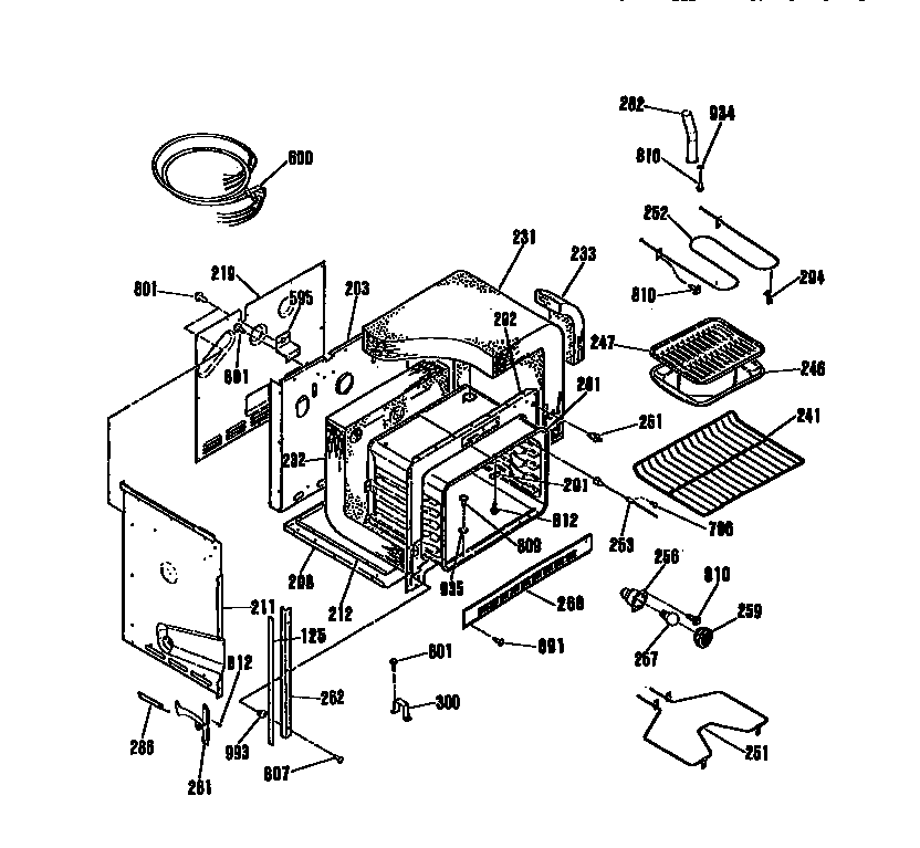 BODY SECTION