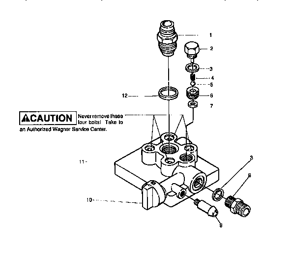 Paint pump assembly