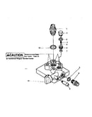 Paint pump assembly
