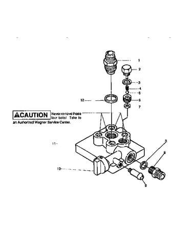 Paint pump assembly