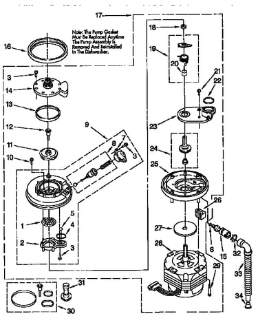 Pump and motor