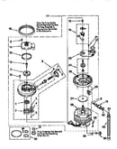 Pump and motor