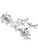 Tine assembly