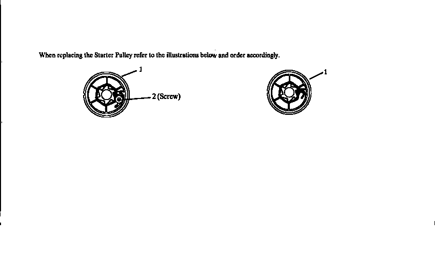Starter pulley