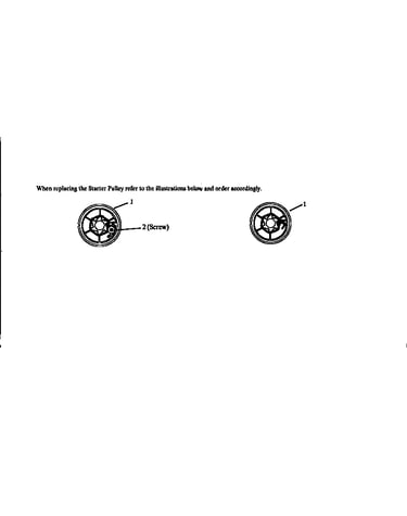 Starter pulley
