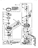 Pump and motor