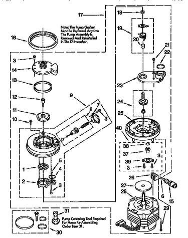 Pump and motor