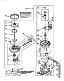Pump and motor