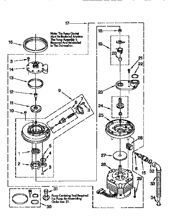 Pump and motor
