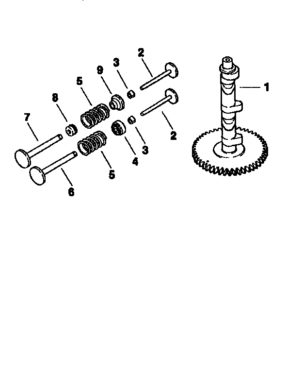 CAMSHAFT AND VALVES  DIV71/501