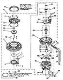 Pump and motor