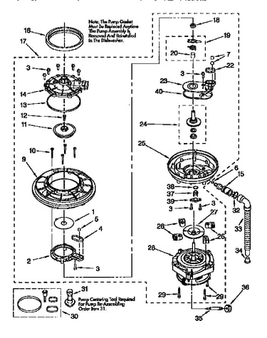 Pump and motor