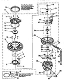 Pump and motor