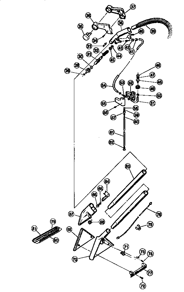 Extraction wand