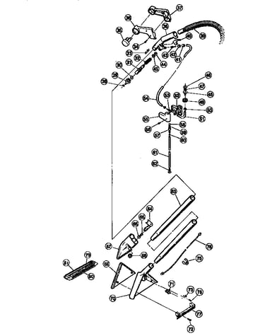 Extraction wand