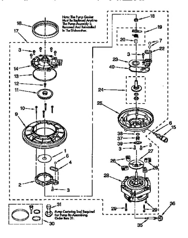 Pump and motor