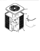 Non-functional replacement