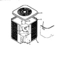 Non-functional replacement