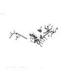 Brake and clutch linkage
