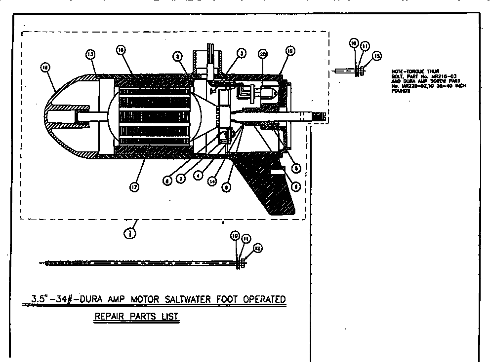 Dura amp saltwater motor
