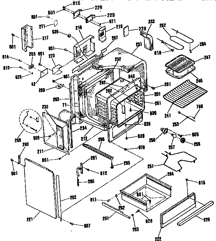 BODY SECTION