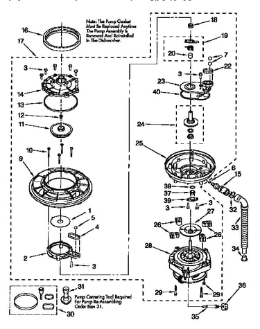 Pump and motor