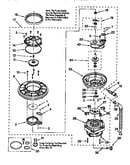 Pump and motor