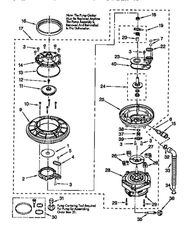 Pump and motor