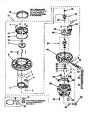 Pump and motor