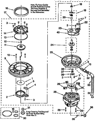 Pump and motor