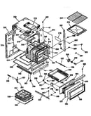 Body  section