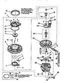 Pump and motor