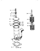 Swimming pool filter