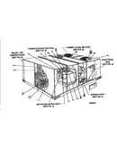 Single package unit