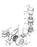 Blower