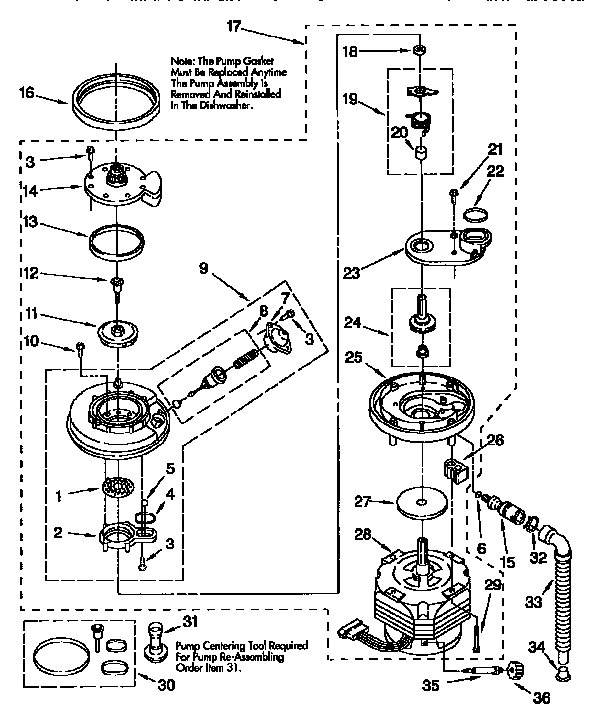 Pump and motor