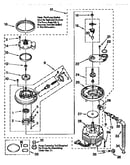 Pump and motor