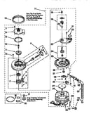 Pump and motor