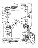Pump and motor