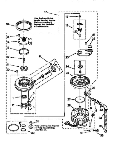 Pump and motor