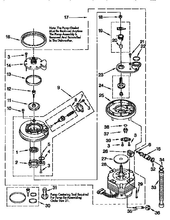 Pump and motor