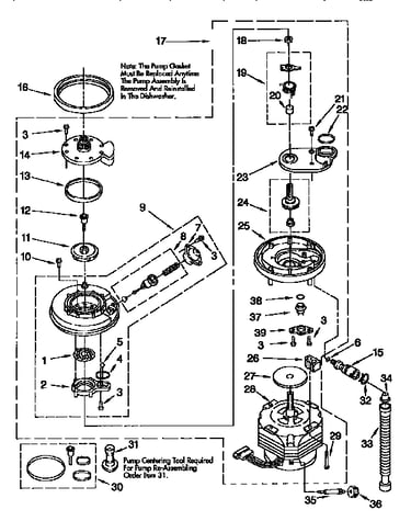 Pump and motor