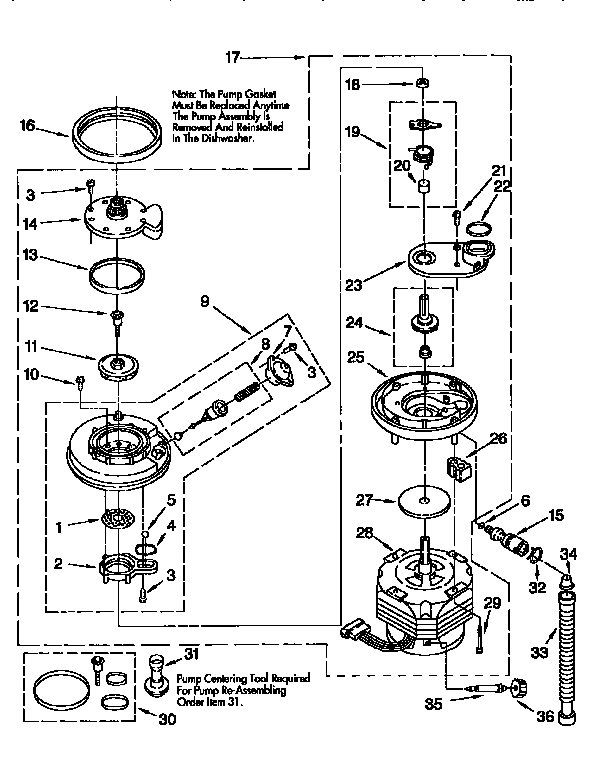 Pump and motor