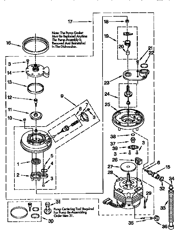 Pump and motor