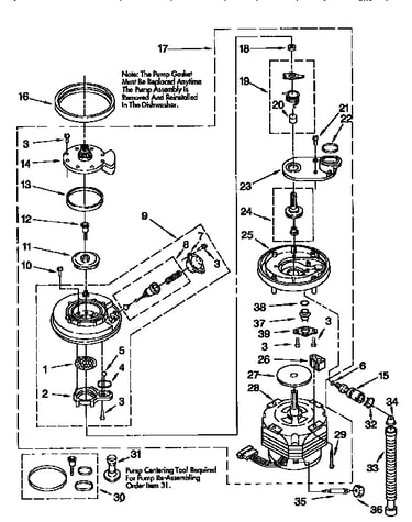 Pump and motor