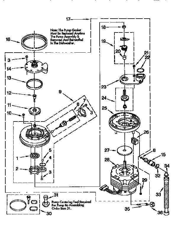 Pump and motor